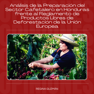 INV. Análisis de la Preparación del Sector Cafetalero en Honduras frente al Reglamento de Productos Libres de Deforestación de la Unión Europea