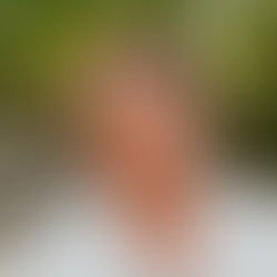 9.5-UNA NUEVA REALIDAD, UNA NUEVA OPORTUNIDAD