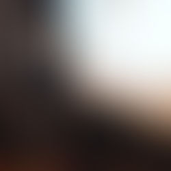 EL IMPACTO DE LA ACTIVIDAD HUMANA EN LA FRECUENCIA DE INCENDIOS