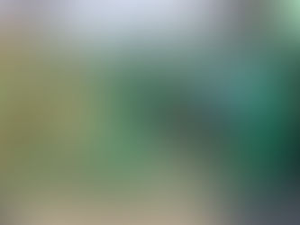 Modernizacja bramy wjazdowej od ul. Gen. Zielińskiego.