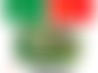 Kontener na odpady zielone