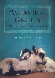 weaving-green_6x9.jpg