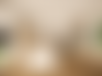 eco 1 living, dining and kitchen space