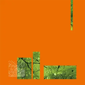 工作區域 40.webp