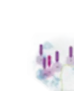 資產 15_300x.webp