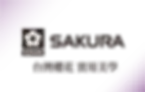 資產 3_300x.webp