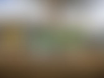 Breaking Ground in Aurora, Colorado: How Dry Weather is Driving the Shift to Low-Maintenance Xeriscape Front Yards