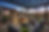 IMG_3155.PNG