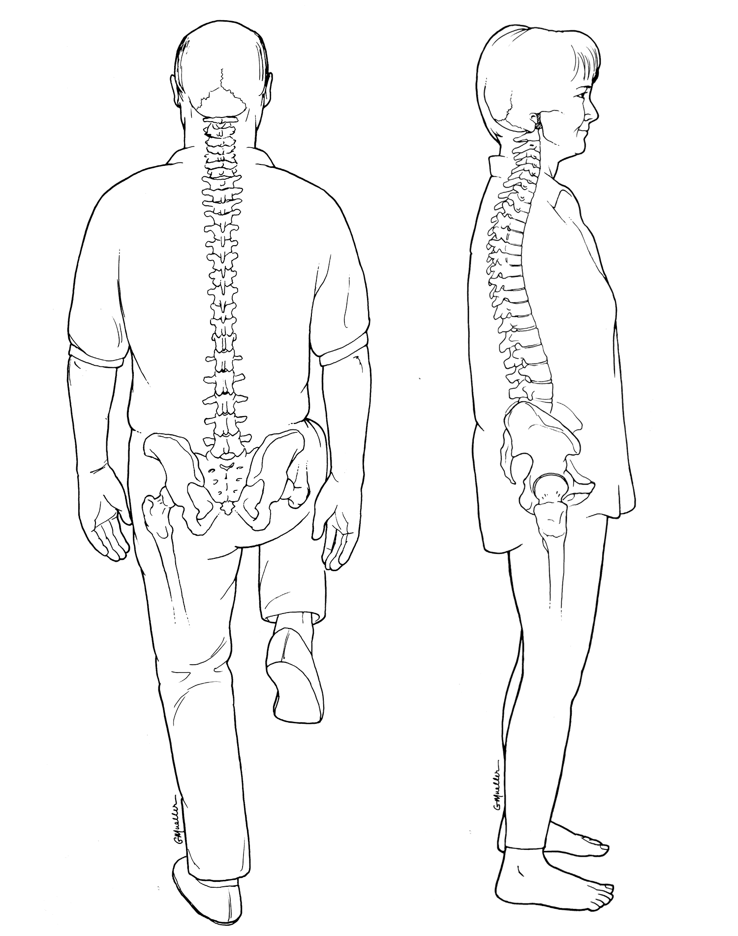 Spine Drawings