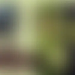 【連動企画vol.02】市川真間で茶道体験|のれんの先で、和文化にふれる