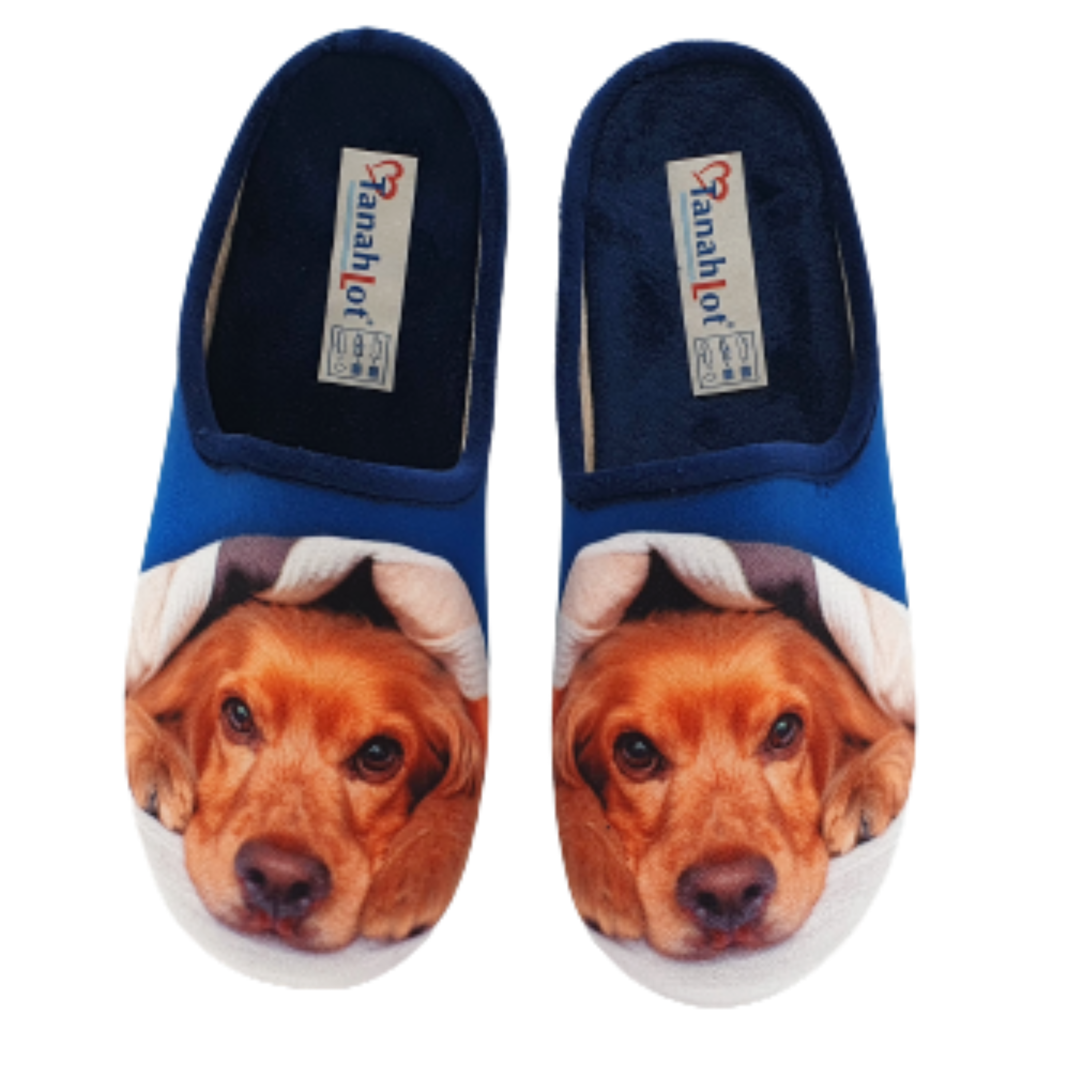 SCHUHKÖNIG (E) Hausschuh Pantoffel HELLE Sohle  Cocker Spaniel 5554047