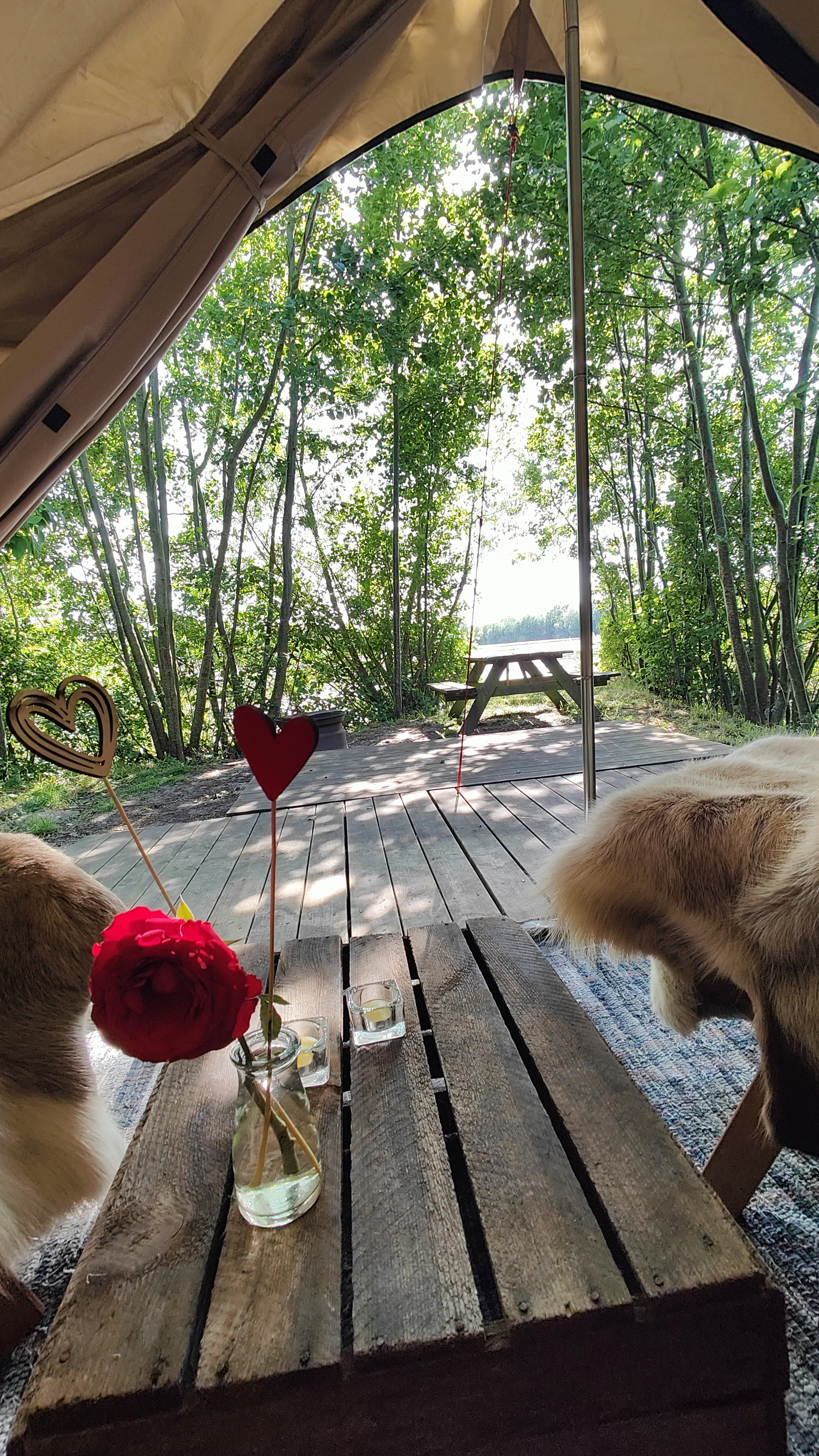 Romantisches Glampingzelt am See mit Lichtern und Wein auf Korsgaarden