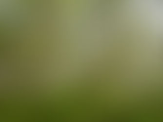 What to do About a Poor Air Quality Alert