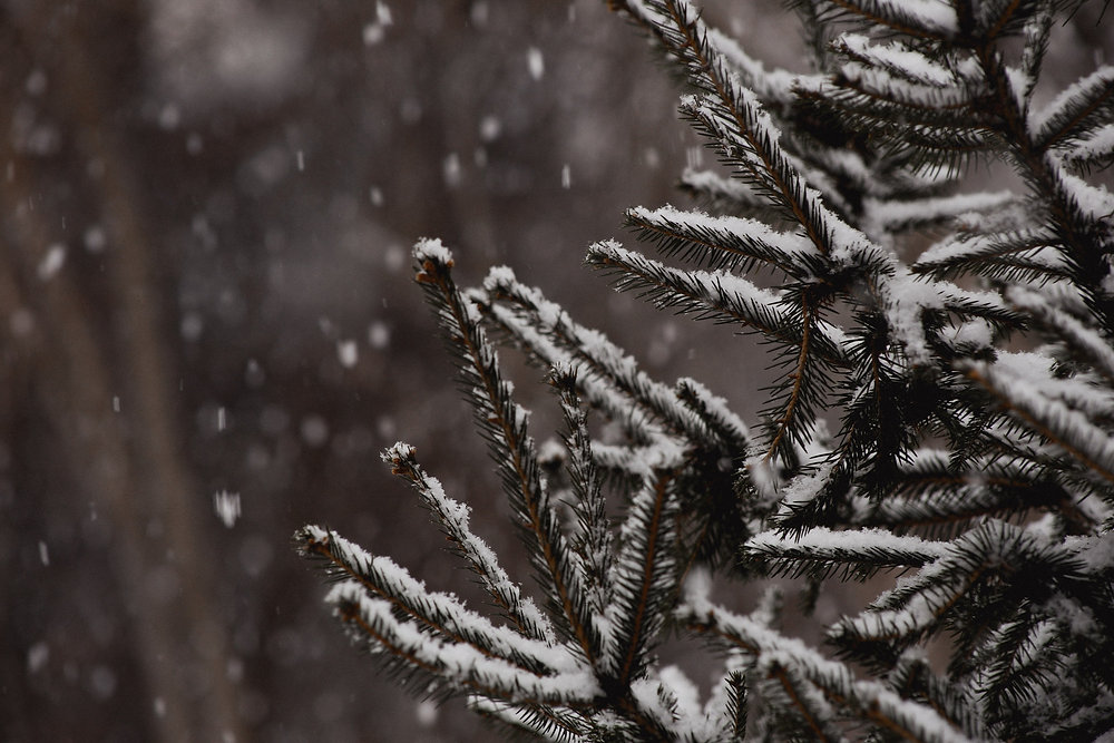 How Does Cold Weather Affect Your Body?