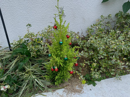 Xmasツリー
