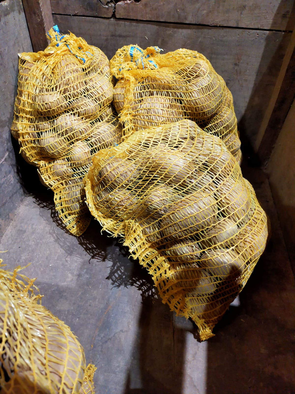 Pommes de terre - Filet de 10 KG