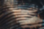 BVV_MET_2-4