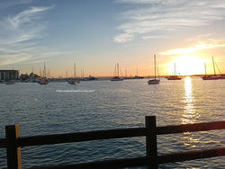 IMG20250430183709_edited