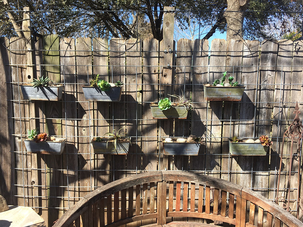 Succulent wall, real or fake?