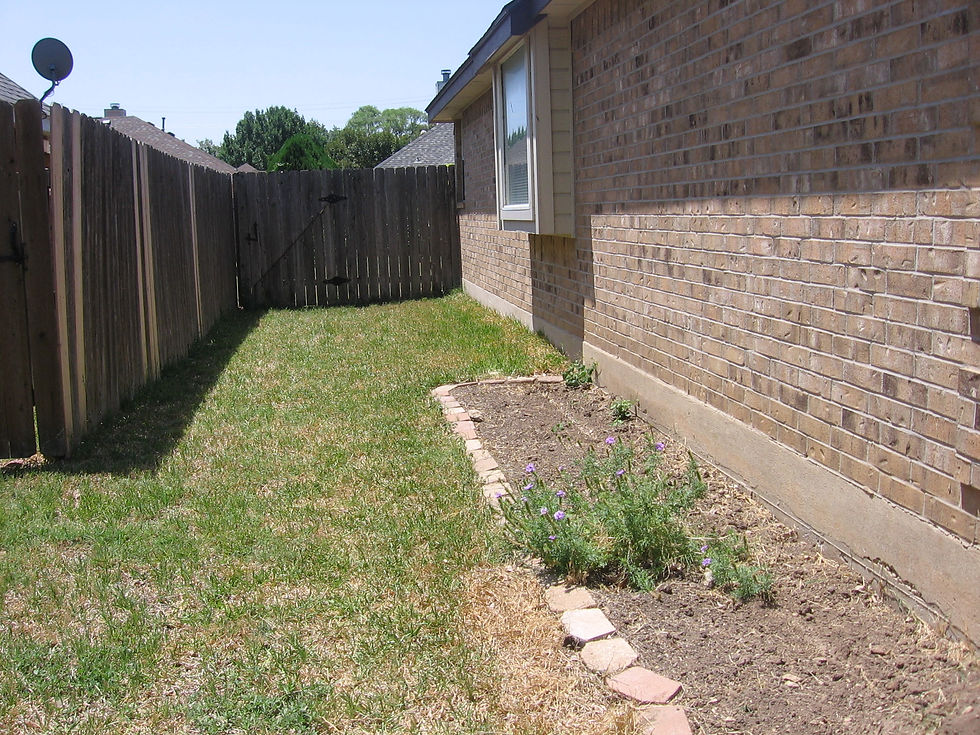 Side yard before I began, 2010