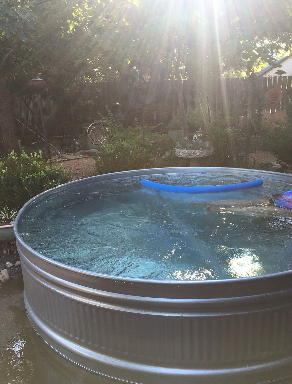 Stock tank pool