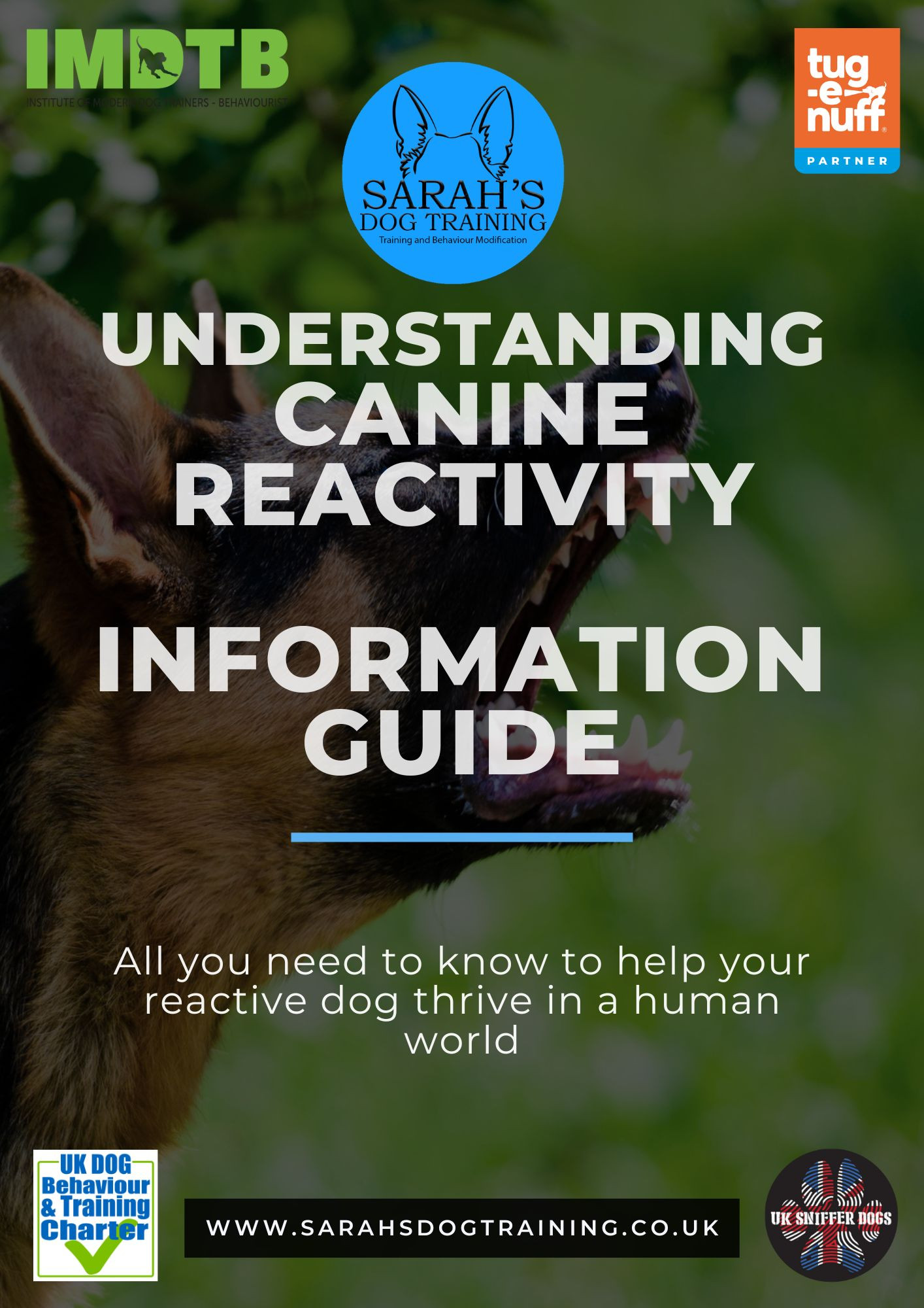 Understanding Reactivity Information Guide