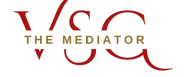 VSG (4).png