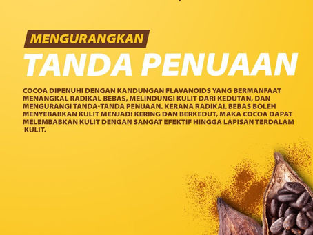 KELEBIHAN COKLAT
