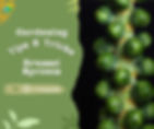 how to grow brussels