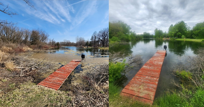 pond comparison.png