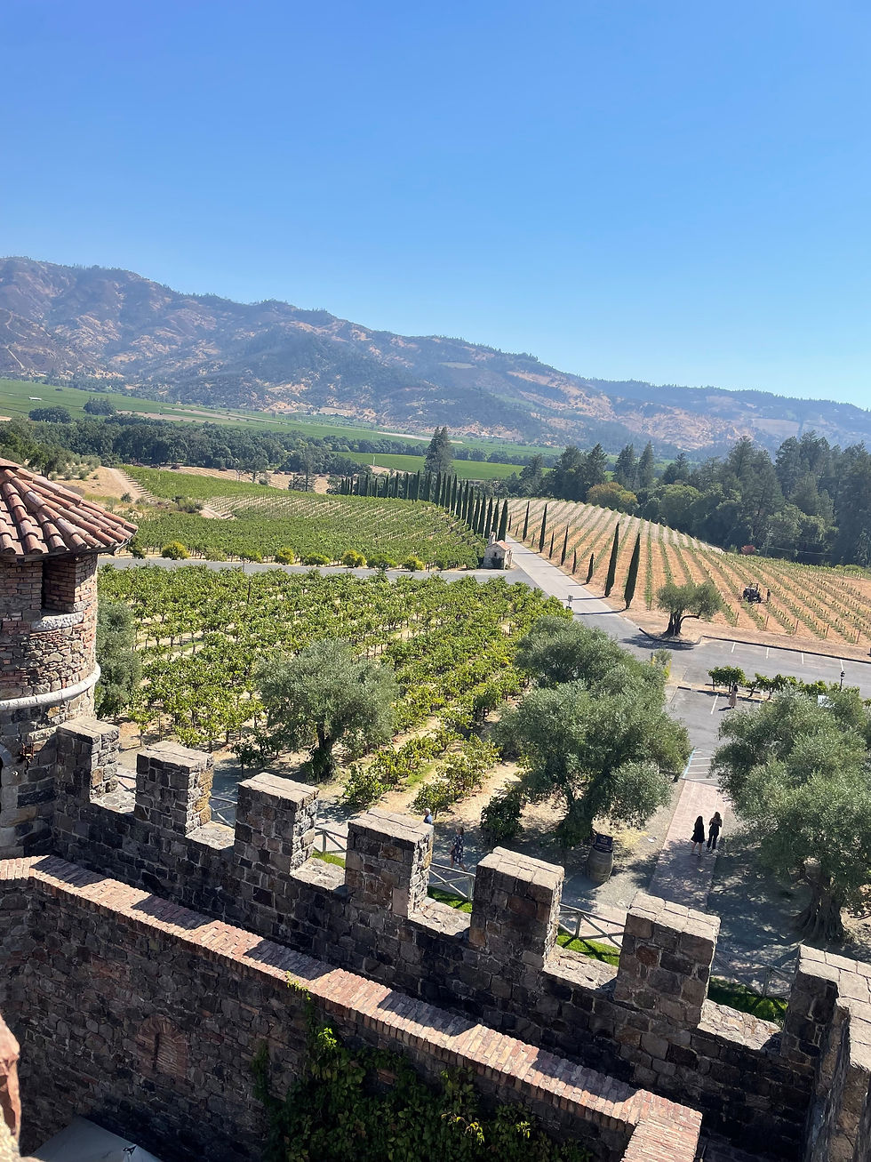 Views from Napa Valley Castle
