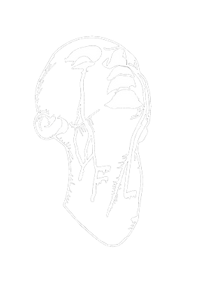 YFL-Tears (inverted)_edited.png