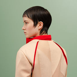 ANEMOIA - XUEHU ZHANG