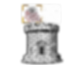 scc3.png