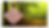 machete.png