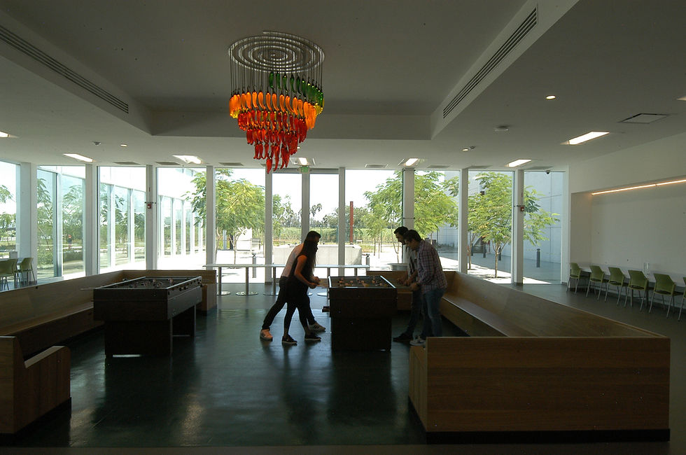 Oficinas_Tajín_24.jpg