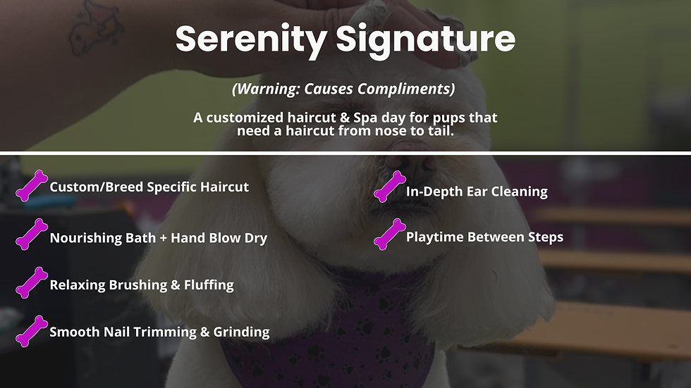 Serenity Signature Desktop  (1).png