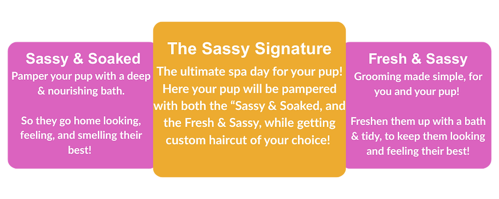 Dog Grooming Bergen NJ.png