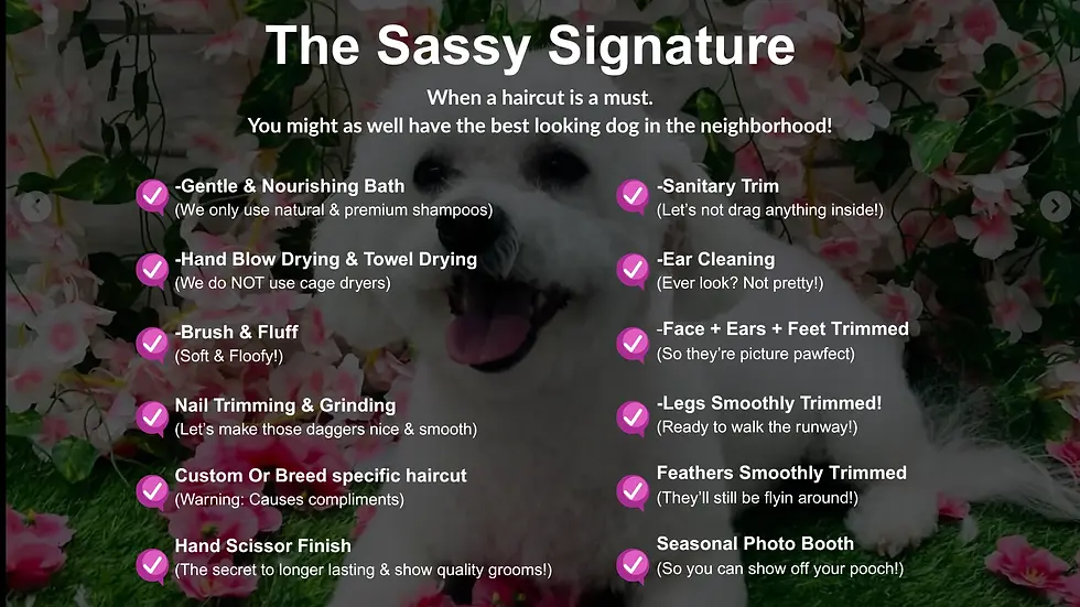 Sassy Dog Grooming 222.webp