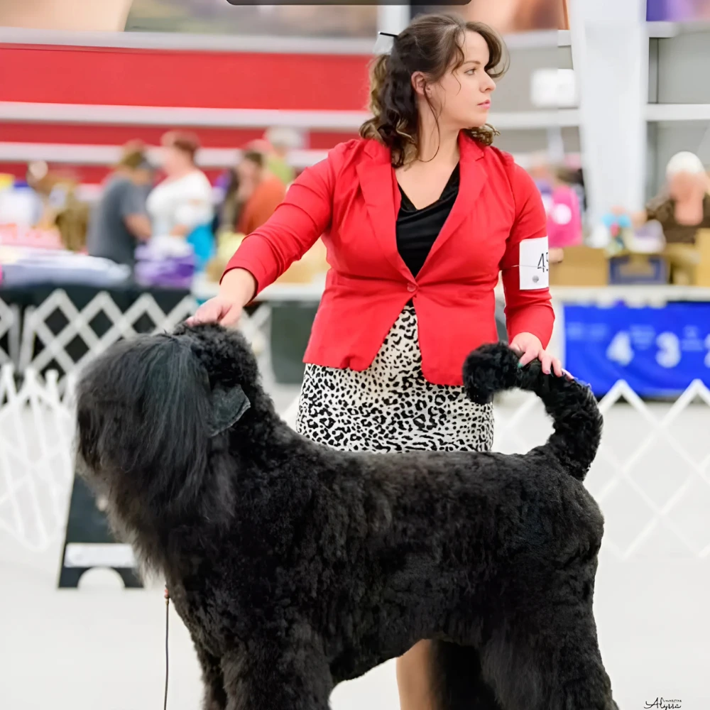 Dog Grooming near me.webp