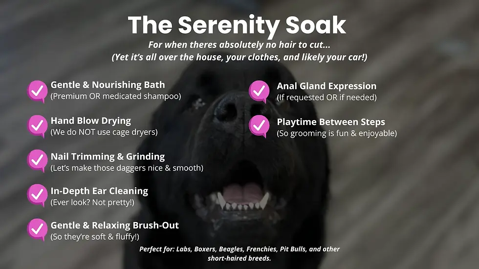 Dog Grooming Services 3 (1).webp