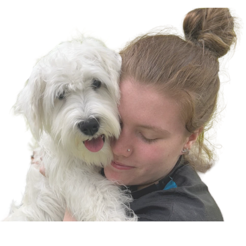 Mobile dog grooming madison wi.webp