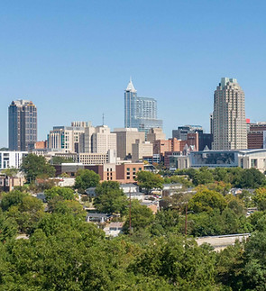 raleigh.jpg