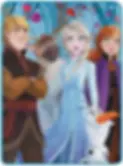 Disney Frozen foliage Micro Raschel Throw Blanket birthday Christmas gift