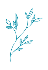 Country Capabilities Occupational Therapy