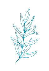 Country Capabilities Occupational Therapy