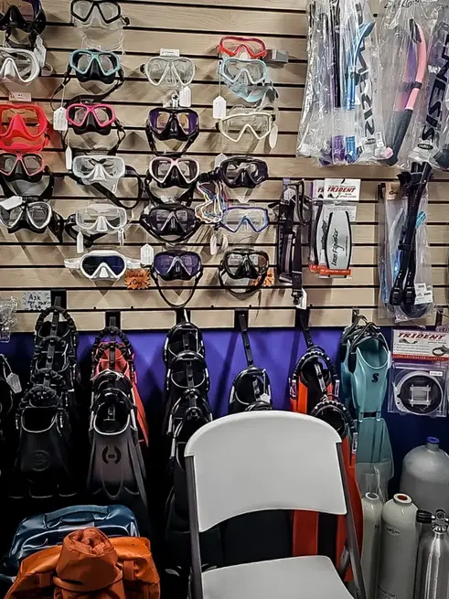 dive masks and fins in various styles and designs hanging on a wall with dive bags and tanks in front