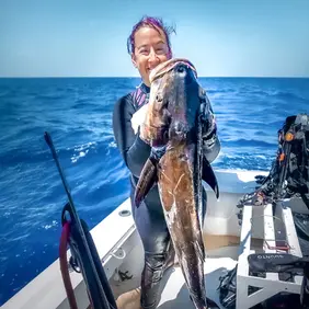 Cobia caught in North Carolina by Instigator Fishing and Diving Charters