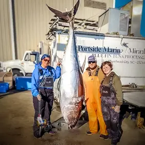 Bluefin Tuna caught in North Carolina by Instigator Fishing and Diving Charters