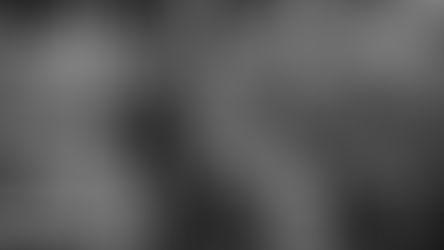 La France déclasse des archives secrètes sur Abdelaziz Bouteflika